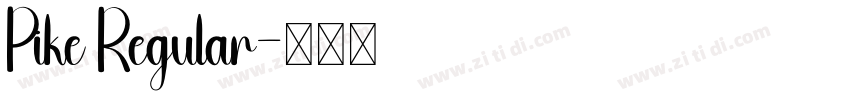 Pike Regular字体转换
